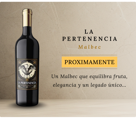 Vinos - Background Mobile